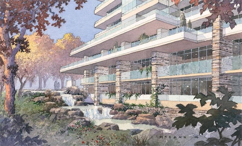The Ravine - Image 3